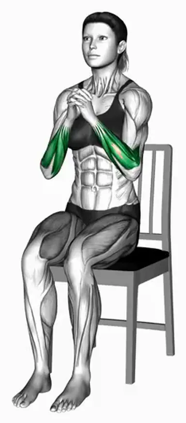 Sitting Wrist Rotation on a Chair demo