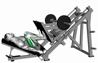Sled 45 degrees Deep Leg Press demo