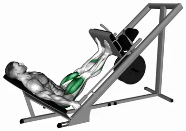 Sled 45° Narrow Stance Leg Press demo