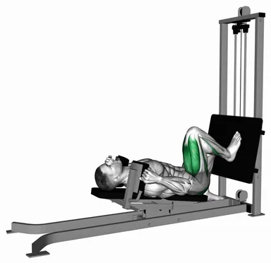 Sled Lying Single Leg Squat demo