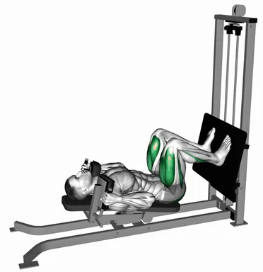 Sled Lying Squat demo