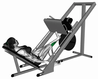 Sled One Leg Calf Press on Leg Press (Demo 2) demo