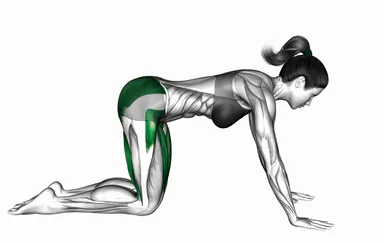 Sleeping Swan Yoga Pose demo