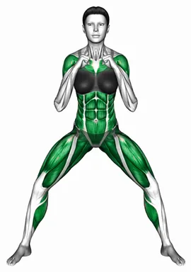 하프 스쿼트 프론트 펀치 자세 시연