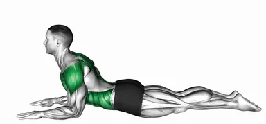 Sphinx Pose Opening demo