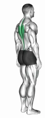 Spine (Lumbar) - Extension demo