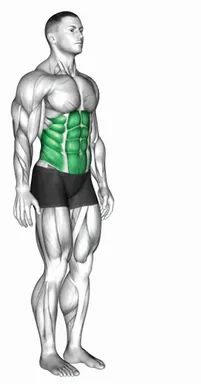 Spine (Lumbar) - Flexion demo