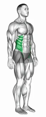 Spine (Lumbar) - Rotation demo