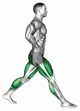 Split Squat Heel Raise demo