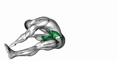 Split Stretch Spine Rolling demo