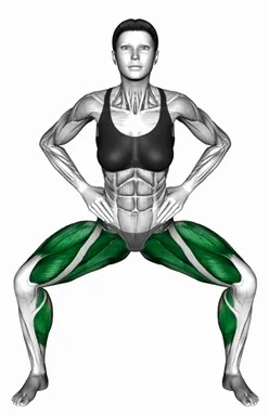 스쿼트 외전근 운동 자세 시연