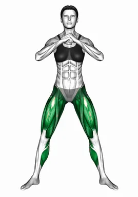 Squat Alternating Lunge demo