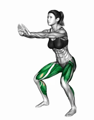 Squat Side Walk demo
