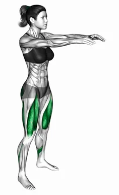 스쿼트 자세 시연