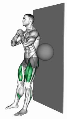 Squat with Ball behind Back demo