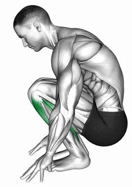 Squatting Achilles Stretch demo