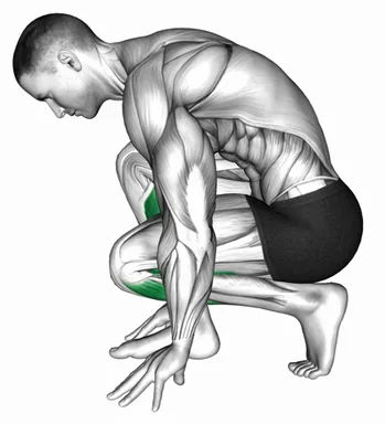 Squatting Toe Stretch demo