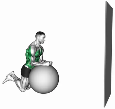 Stability Ball Kneeling Rollout to Wall demo