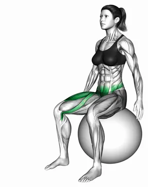 Stability Ball Sitting Balance Knee Extension demo