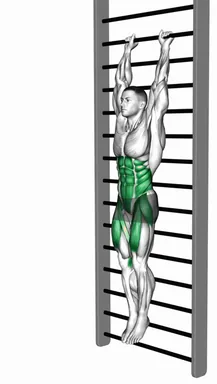 Stall Bar Leg Raise demo