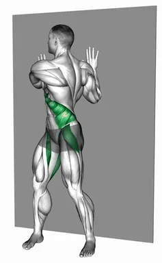 Standing Ab Twist Wall Touch demo