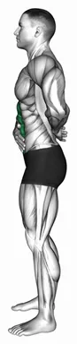 Standing Abdominal Vacuum demo
