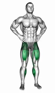 Standing Alternating Knee Raise demo