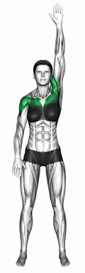 Standing Alternating Arm Lift demo