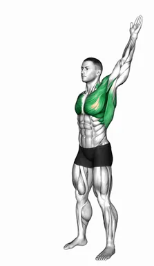 Standing Alternating Arms Swing demo