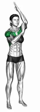 Standing Alternating Palm to Elbow demo