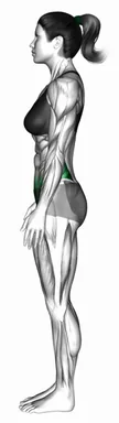 Standing Anterior Pelvic Tilt demo
