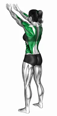 스탠딩 아처 45도 암 로우 자세 시연