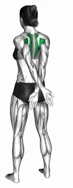 Standing Arm Crossover Behind the Back demo