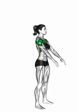 Standing Arm Circles demo