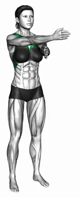 Standing Forward Arm Crossover demo