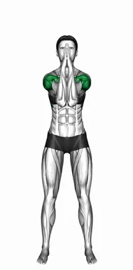 Standing Back Clap and Elbow Touch and Prayer Push demo