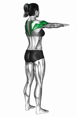 Standing Back Squeeze (VERSION 2) demo