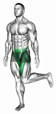Standing Balance Single Leg Hip Rotation demo