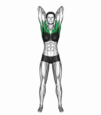 Standing Behind Head Clasp and Pushdown demo