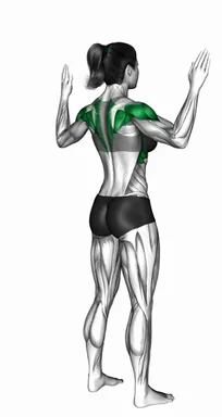 Standing EZ-Bar Behind Head Crossover and Back Squeeze demo