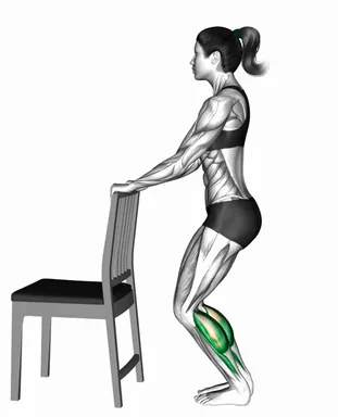 Standing Bent-Knee Alternating Calf Raise with Chair Support demo