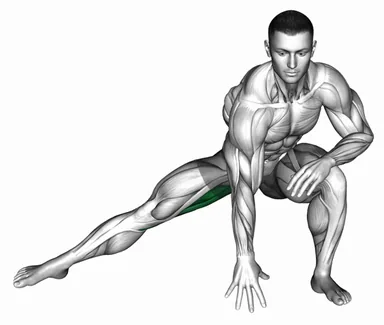 Standing Bent-Knee Hip Adductor Stretch demo