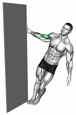 Standing Doorframe Biceps Curl demo