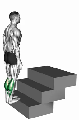 Standing Calf Raise on a Staircase demo
