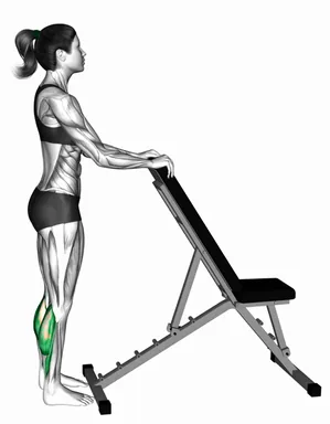Standing Calf Raise with Support demo