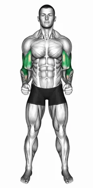Standing Elbow Circle demo