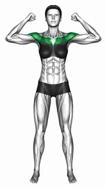 스탠딩 엘보 푸시업 앤 엘보 플라이 자세 시연