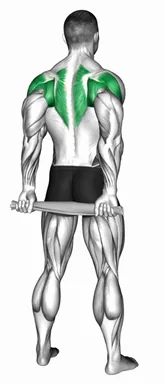 Standing External Rotation Behind Back with Towel demo