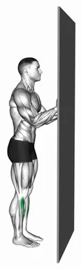 Standing Floor Tibialis Raise Wall Supported demo