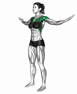 Standing Forward Double Tap and Open demo